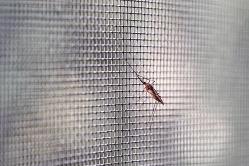 Insektenschutz
